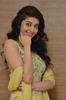 Pranitha at Hello Guru Prema Kosame Movie Success Meet